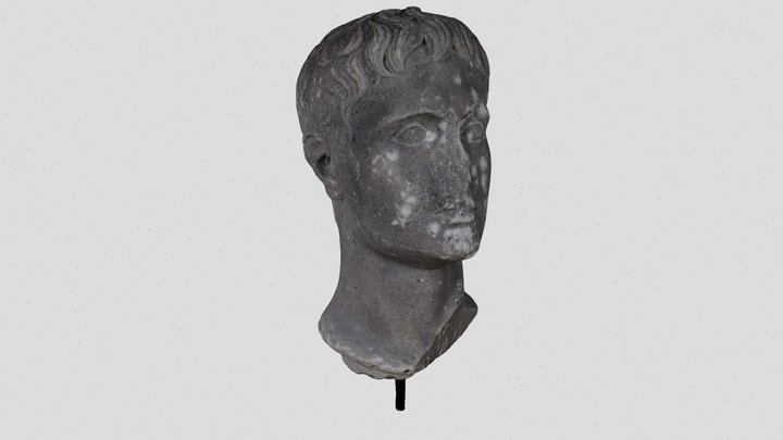 August 3D Model