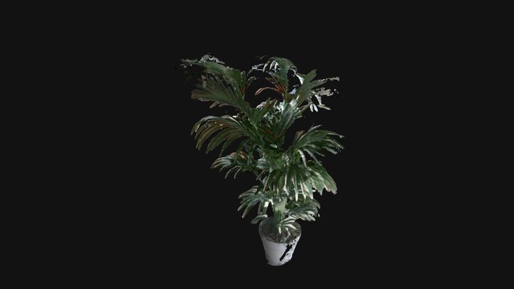 Plant 3D Model
