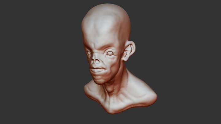 Sculptris - Humanoid head 3D Model