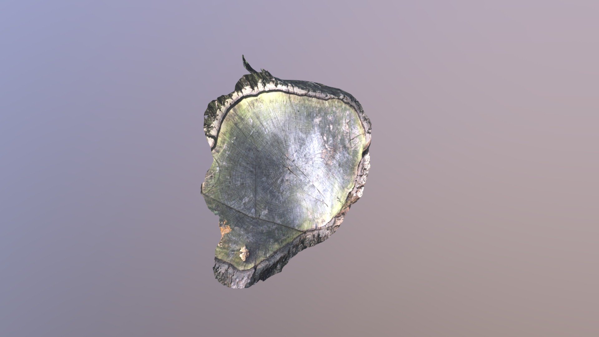 Prairie_3 — Sketchfab embed 3D viewer