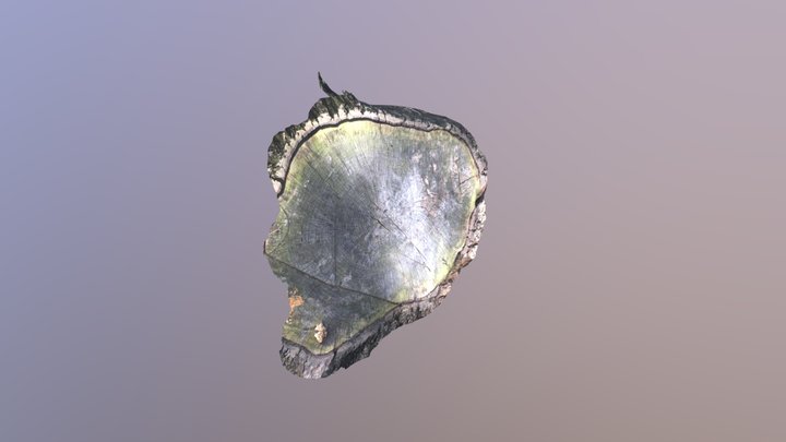 Prairie_3 3D Model