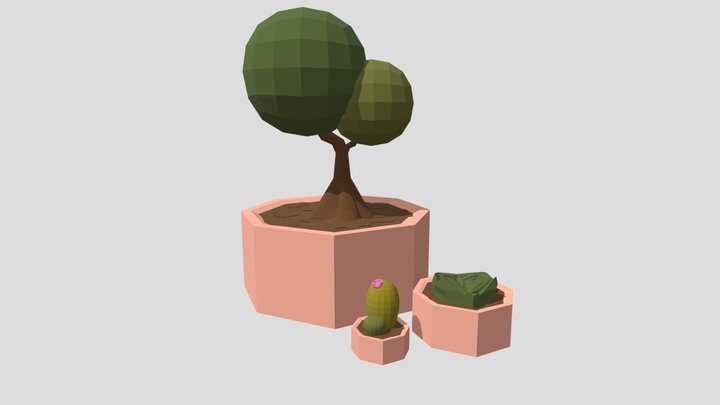 Low Poly Plants 3D Model
