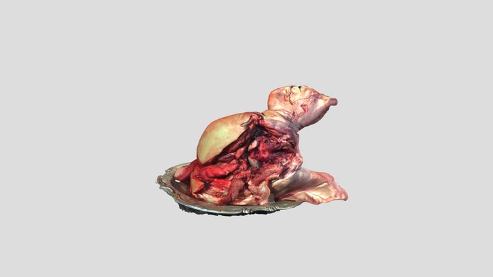 The Sacrifice 3D Model