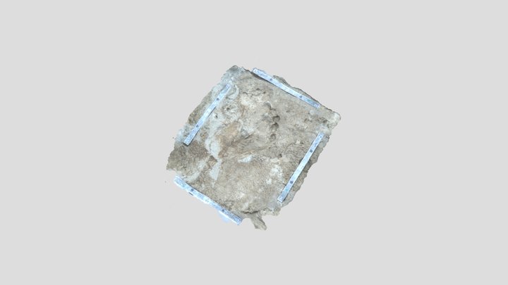 Pegada 02- Porto Histórico do Rio Grande- RS 3D Model