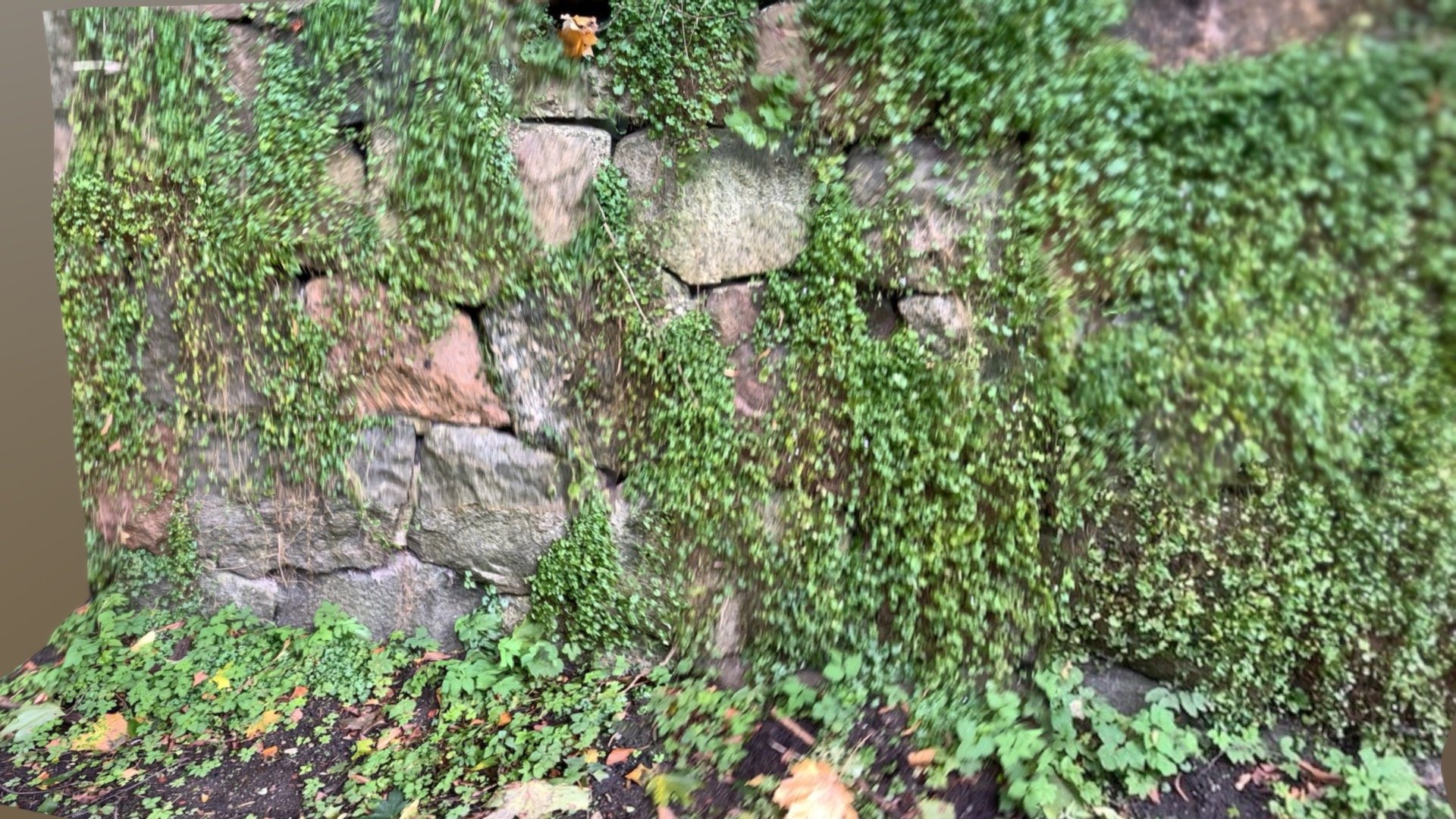 Wall of stone