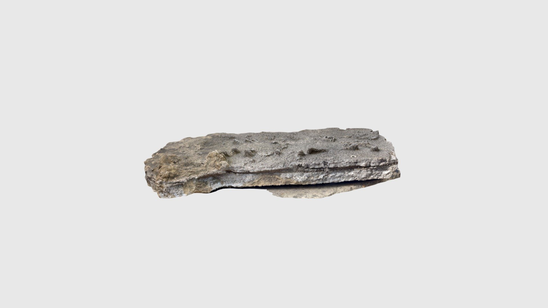 Ichnofossils on sandstone