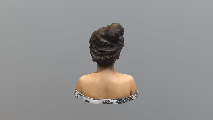 ZANY 100K Embed 3D Model