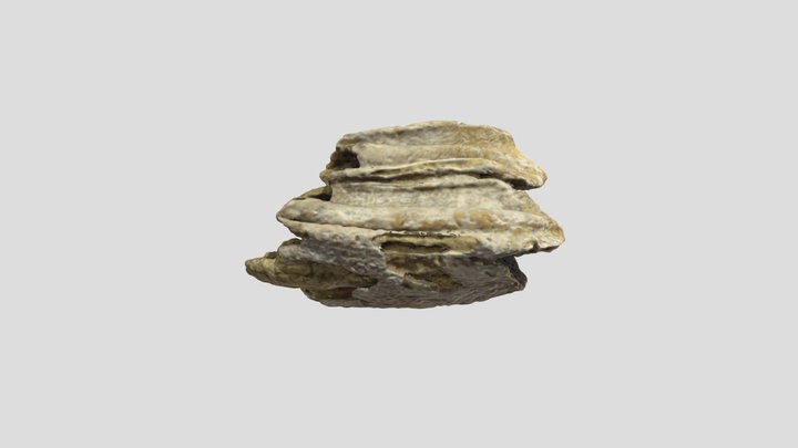 Tooth_Bad01_D_C4_B05_molaire 3D Model