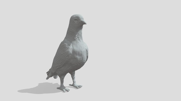 Pigeon - Level 3 Art & Design (2nd Year) 3D Model