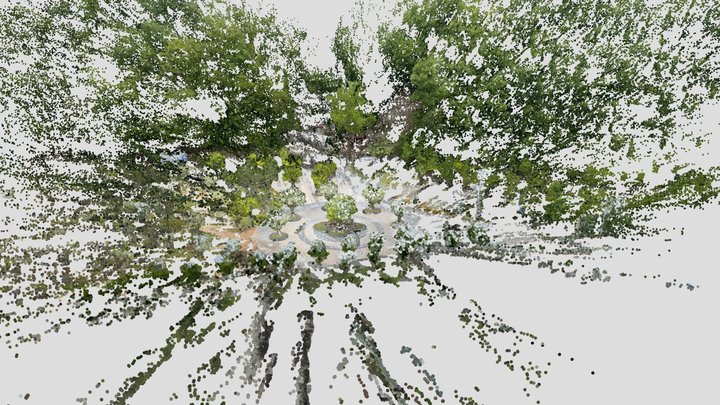 colored-pointcloud 5 3D Model