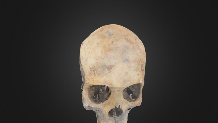 Skull "Ponferrada Uno" 3D Model