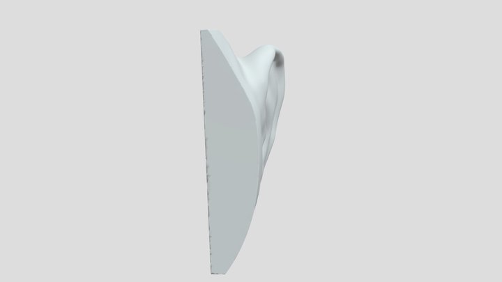 Ear 3D Model