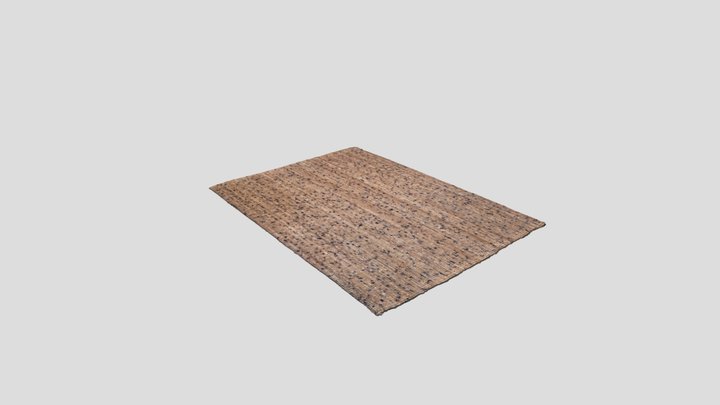 Paradise Blue Jute And Poly Rug 3D Model