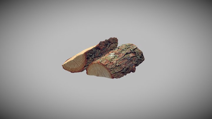 Wood Logs 3D Model