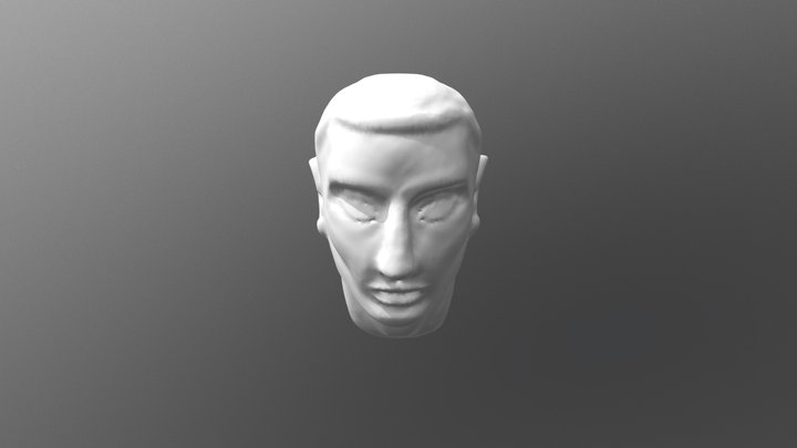 Male Face Sculpt 1 3D Model