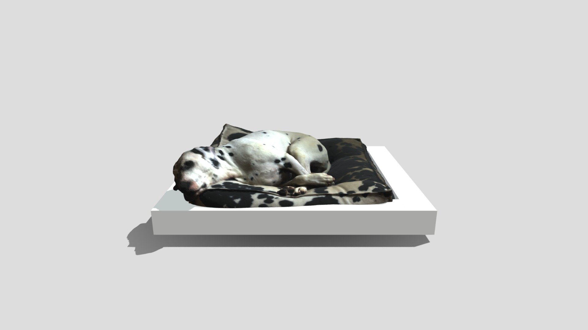 Dog Scan Vertex Colors