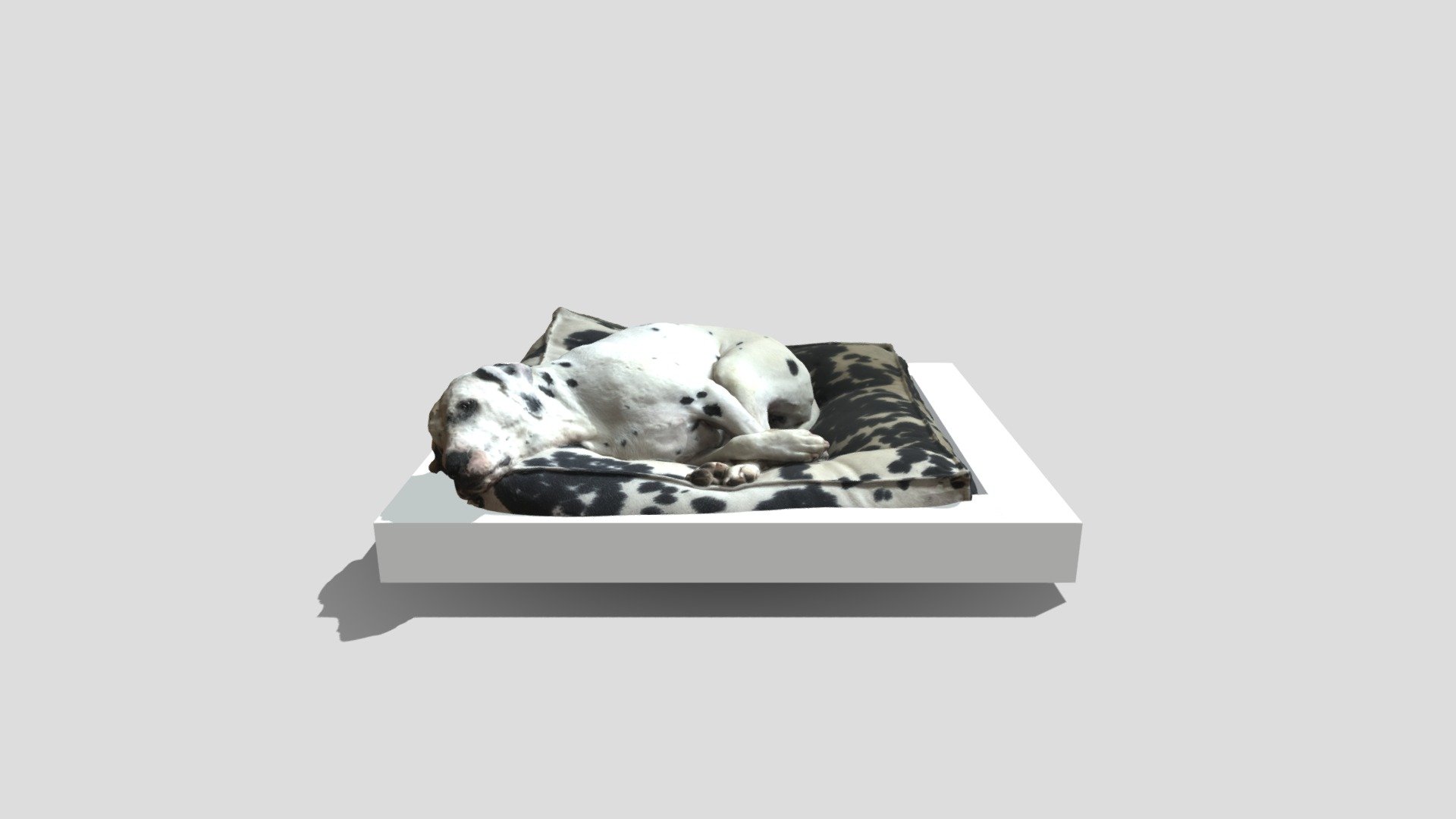 Dog Scan No Vertex Colors
