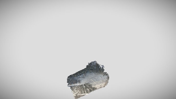 Wald für Morgen - Schnee 3D Model