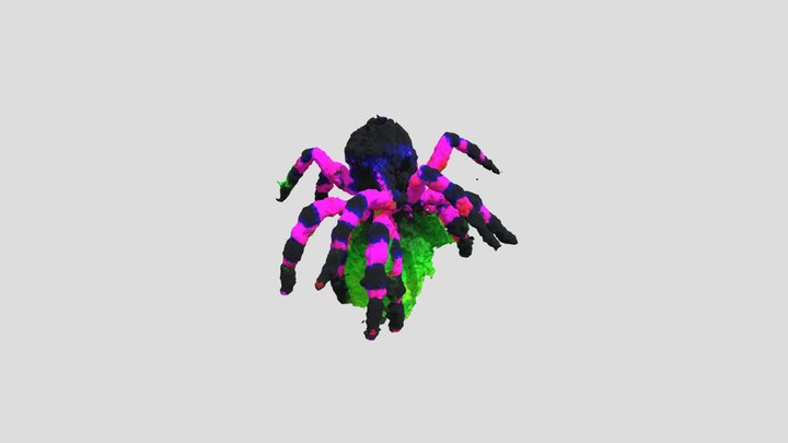Charlotte 3D Model
