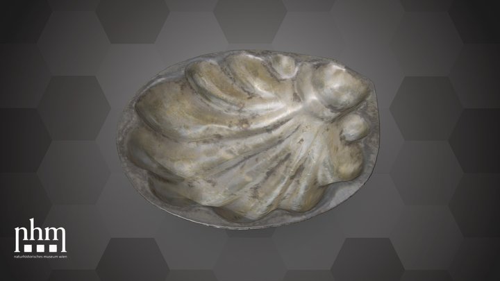 Small metal bowl (NHMW-ZOO-MO-0081100-ETH-093b) – Kostenloses 3D-Modell STL