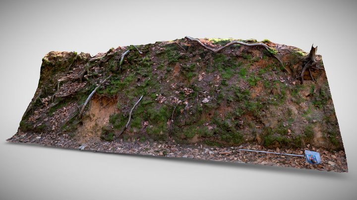 Soil Forest Bank 3D Model