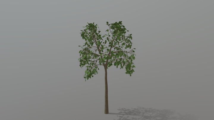 Decorative Tree 3D Model