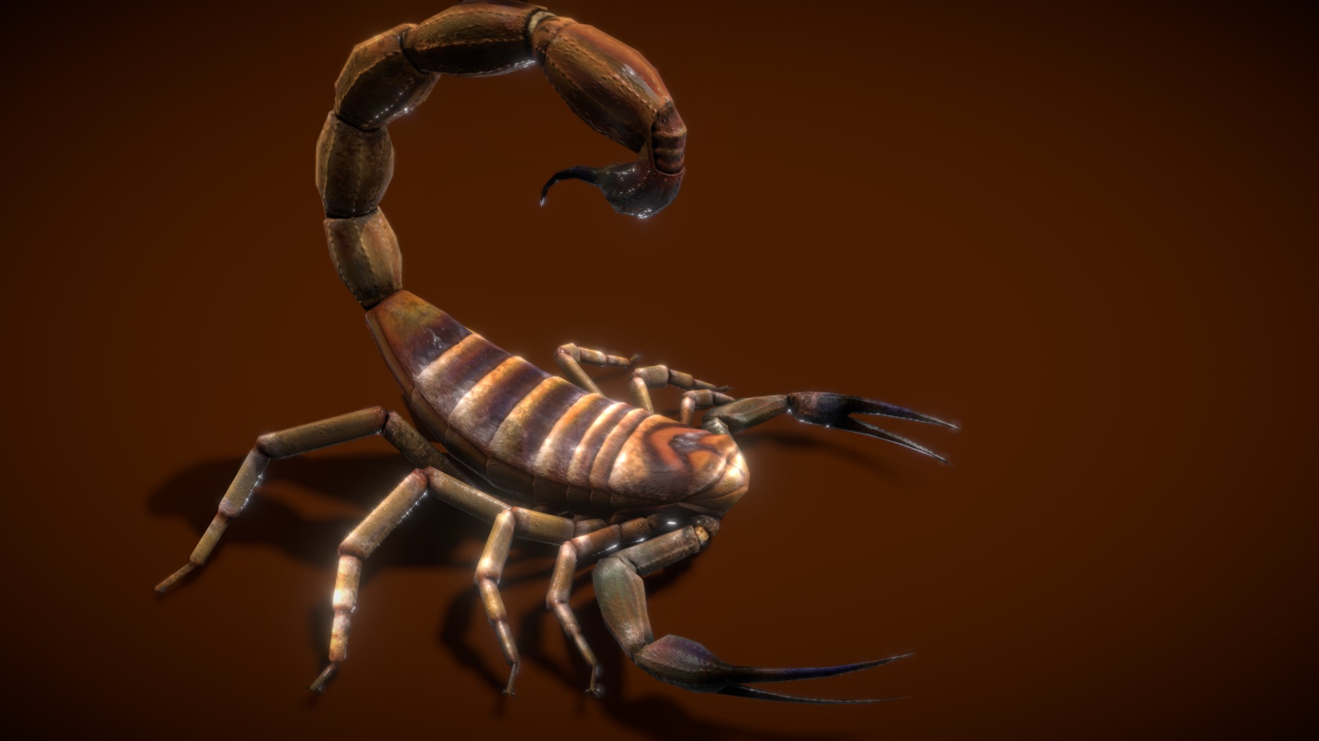 3D model Scorpion Lowpoly 3D - This is a 3D model of the Scorpion Lowpoly 3D. The 3D model is about a close up of a bug.