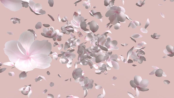 Cherry Blossoms 3D Model