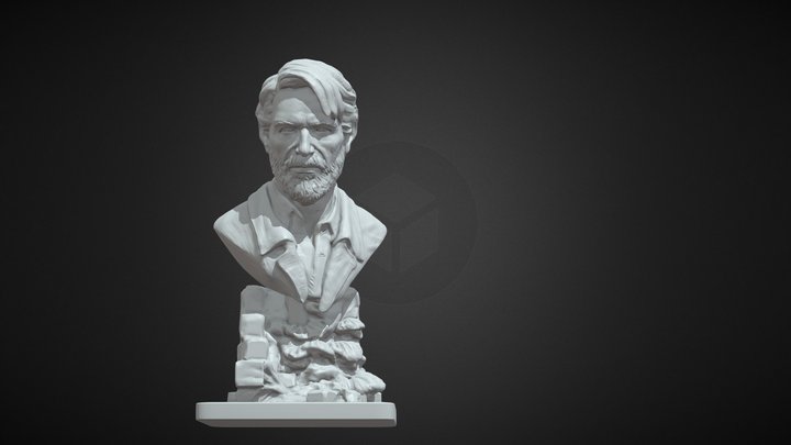 Ellie bust from The Last Of Us Part II 3D model 3D printable