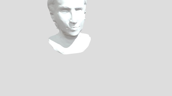 skull 3D Model
