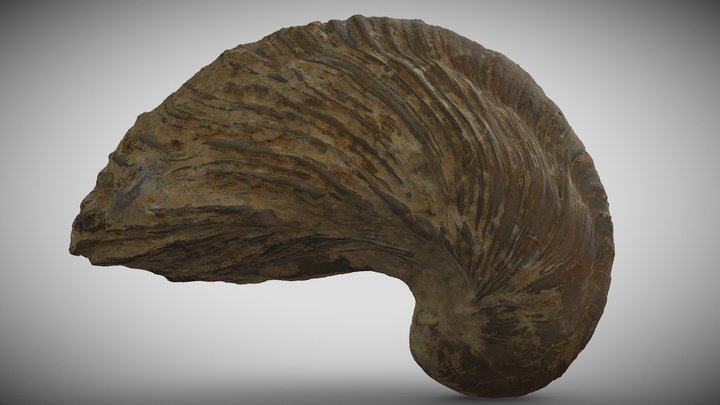 280563 3D Model