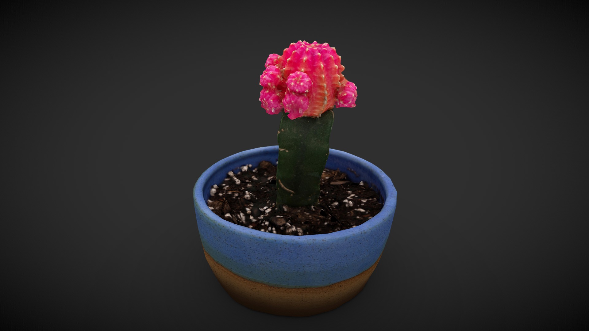 3D model Potted Cactus - This is a 3D model of the Potted Cactus. The 3D model is about a small cactus in a pot.