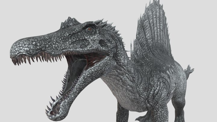 Spinosaurus 3D Model