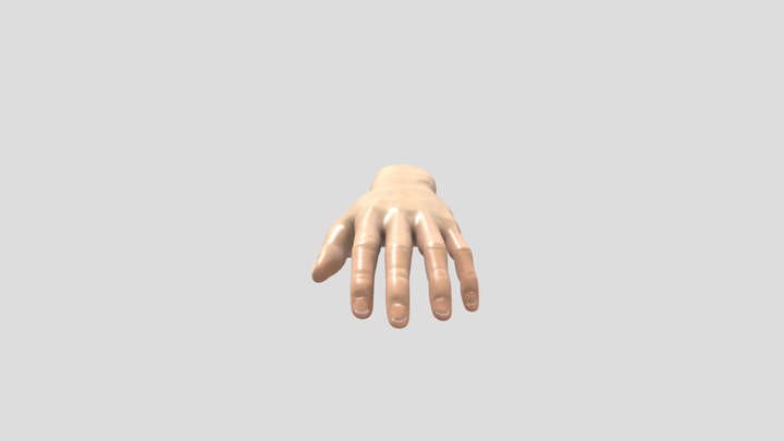 Hand Sculpt - 3D Model By Usmaan Ali 3D Model
