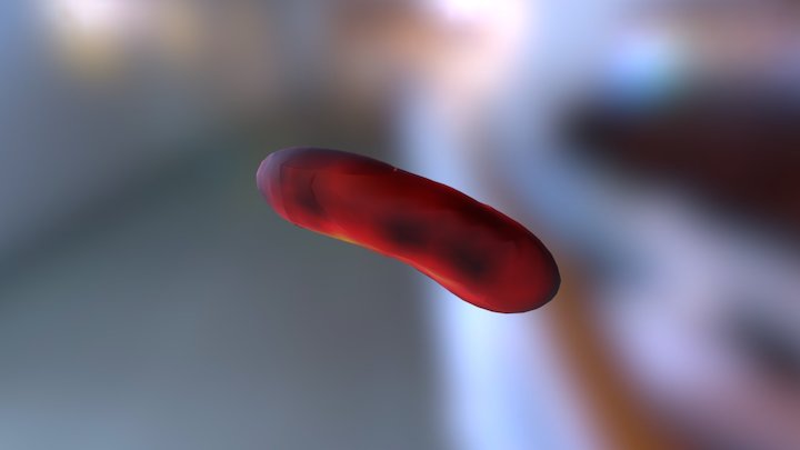 rho1e-13 3D Model