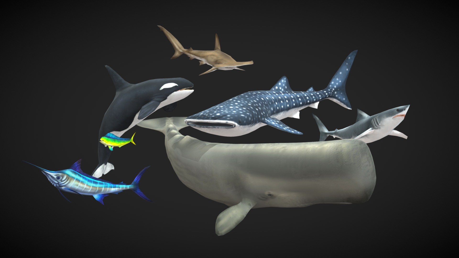 Hand Painted Marine Life Pack - 3D model by Parelaxel [9d262a8] - Sketchfab