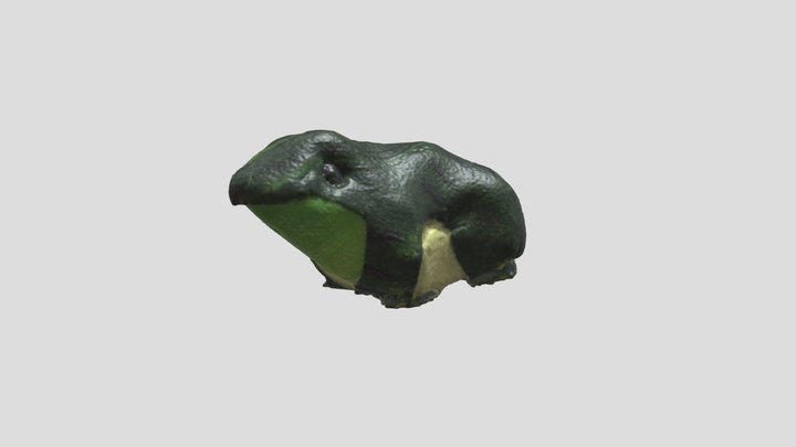 Frog Toy - 3D Scan 3D Model