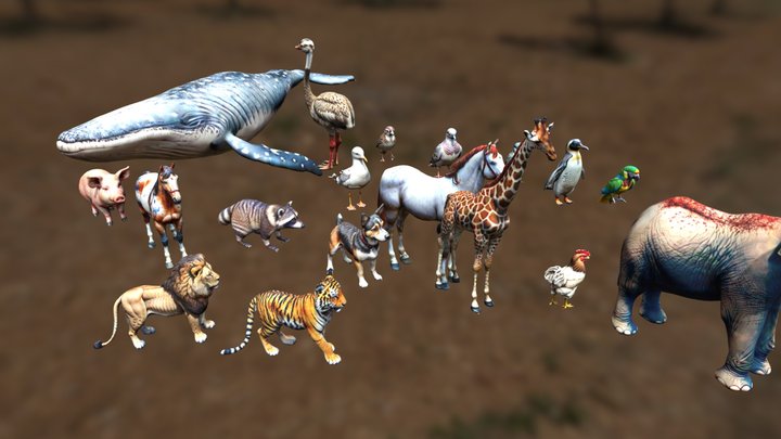 Collection with 17 Animals 3D Model