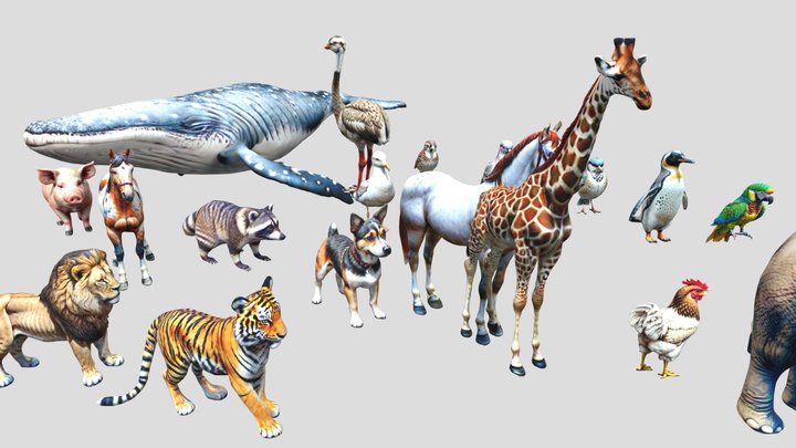 Collection with 17 Animals 3D Model