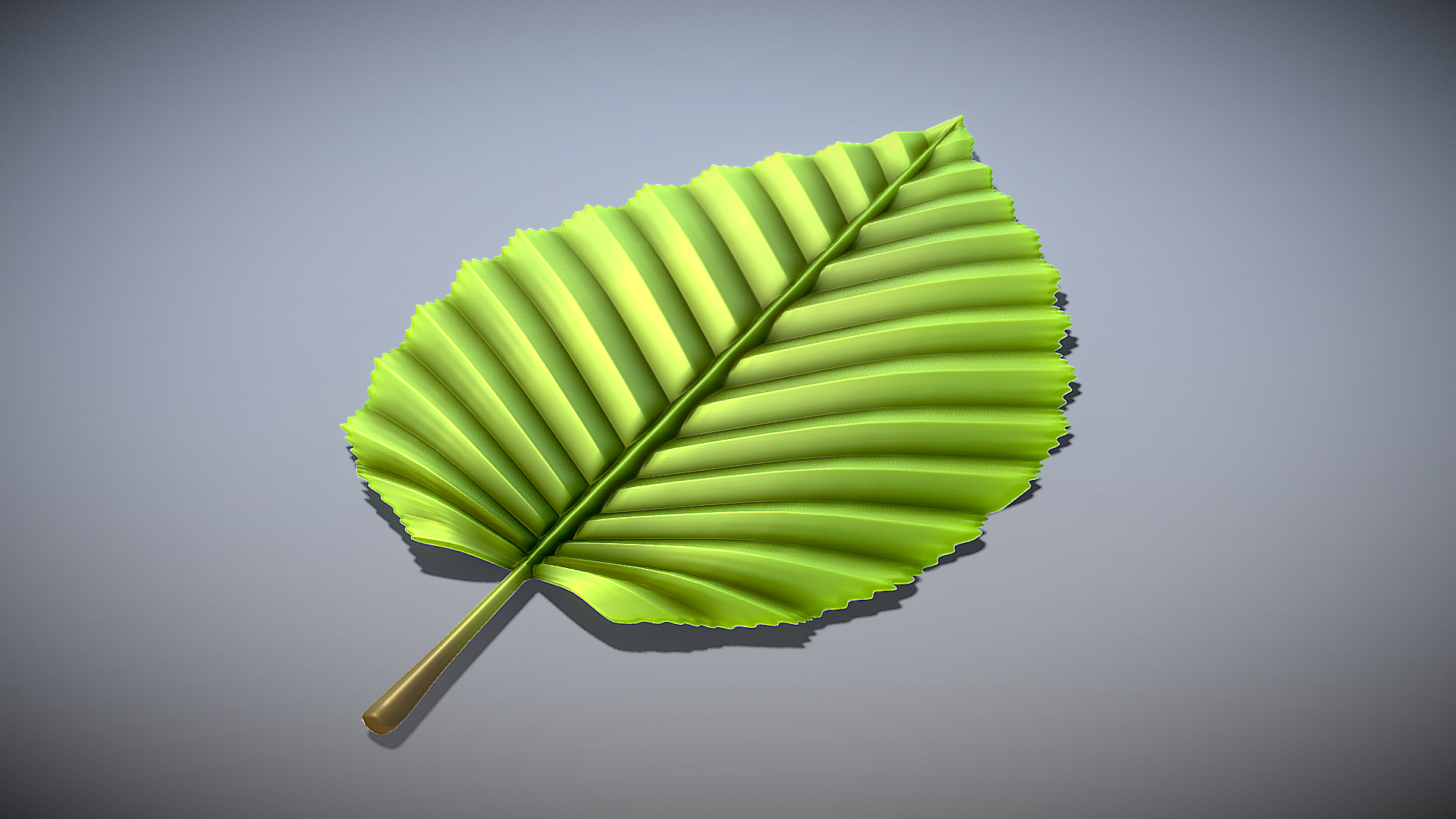 3D model Hornbeam Leaf (High-Poly) - This is a 3D model of the Hornbeam Leaf (High-Poly). The 3D model is about a green leaf on a white background.