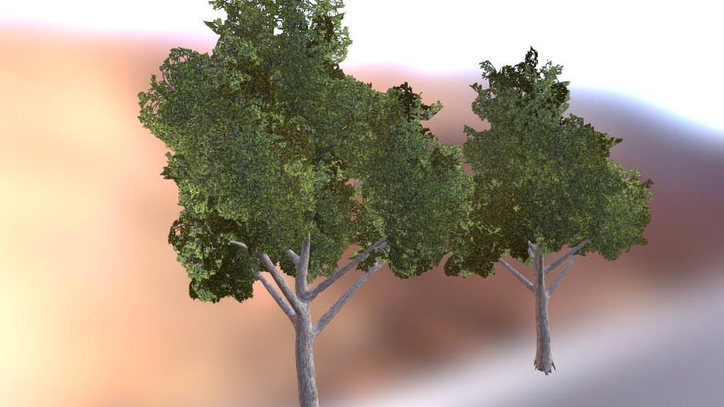 Test - Tree - Download Free 3D model by Emerson Rosa (@iemersonrosa ...
