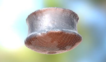 Taca 3D Model