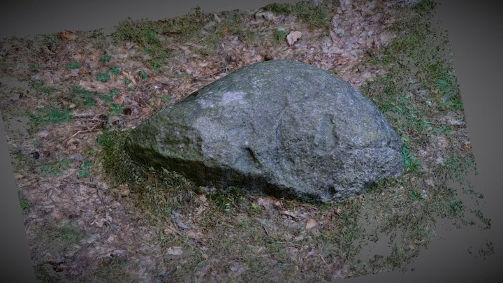 Boża stópka z Chodlika 3D Model