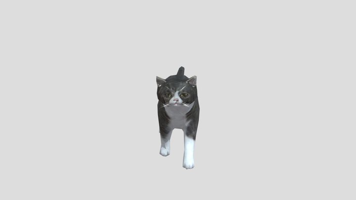 Cat low poly .obj [Game Ready] Animation 0/33 3D Model