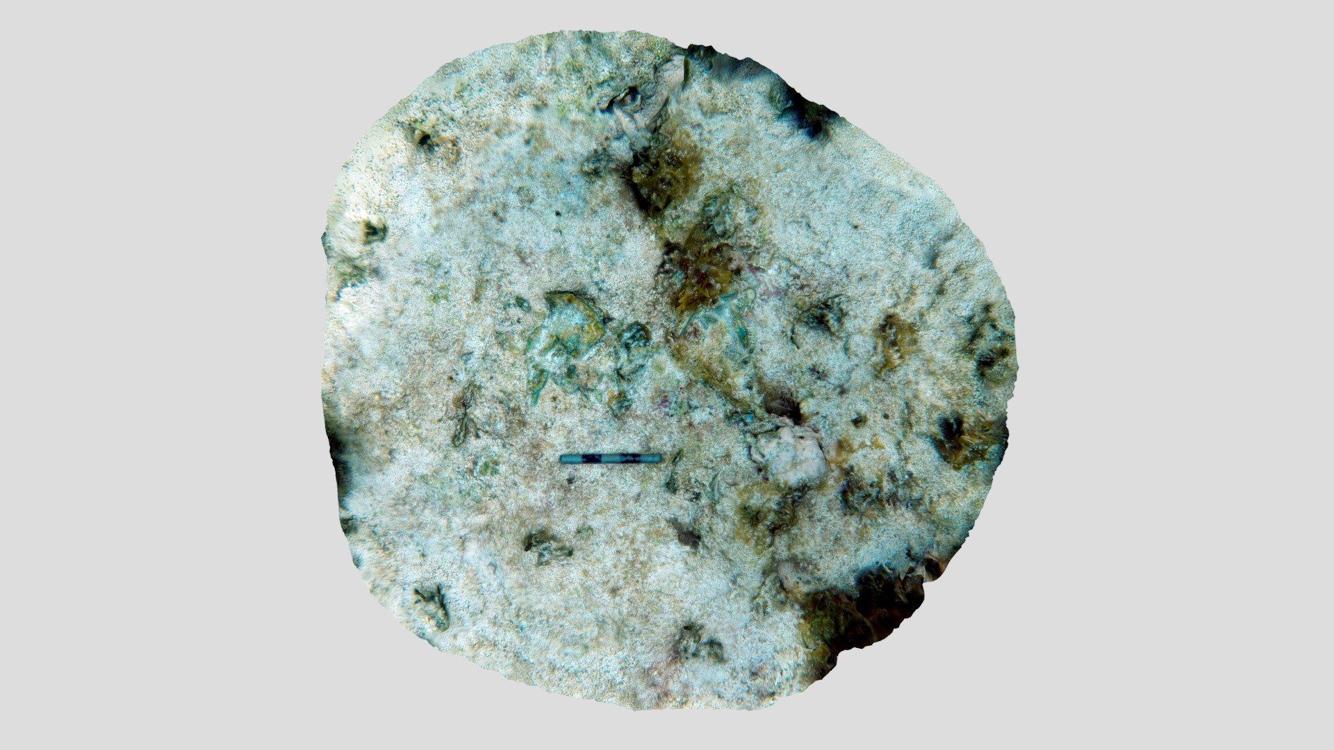 Guerrero Copper Sheet in Bedrock No.2 (2019)