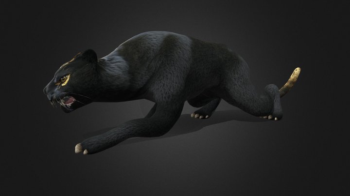 Black Panther_A1 3D Model