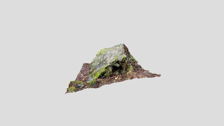 PNW Rock #1 3D Model