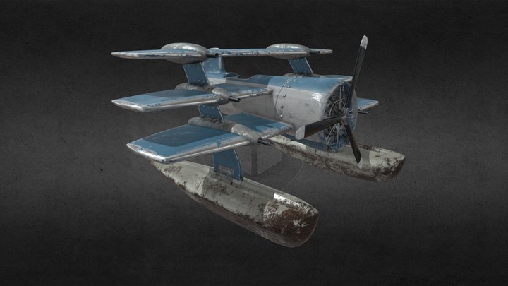 Water Plane 3D Model
