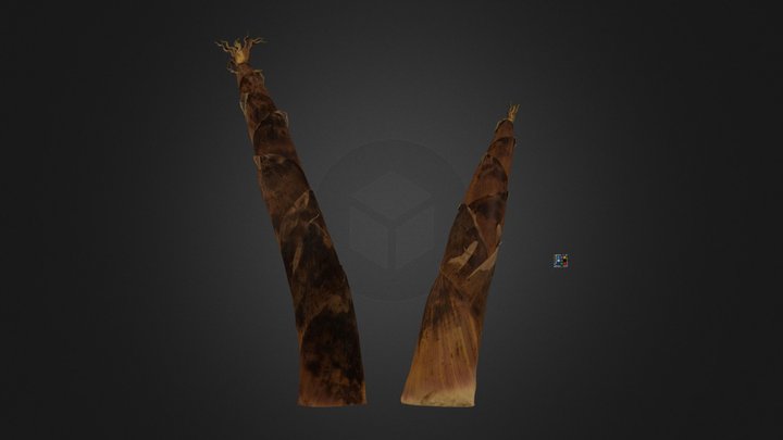 CC0 ホテイチク Golden Bamboo, Phyllostachys aurea – Modello 3D gratuito STL