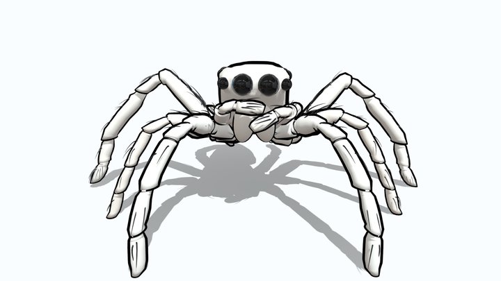 SALTICIDAE - JUMPING SPIDERS 3D Model